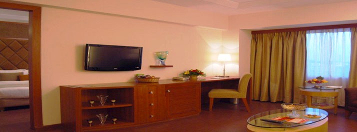 1833/Lords Plaza - Ankleshwar 10.jpg